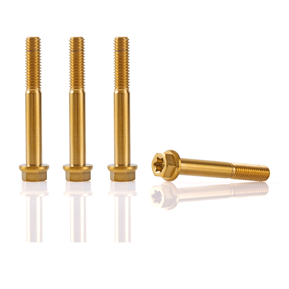 M6x45mm Titanium Bolts Disc Brake Rotor Bolts