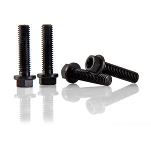 25mm Titanium Motorcycle Brake Disc Bolts