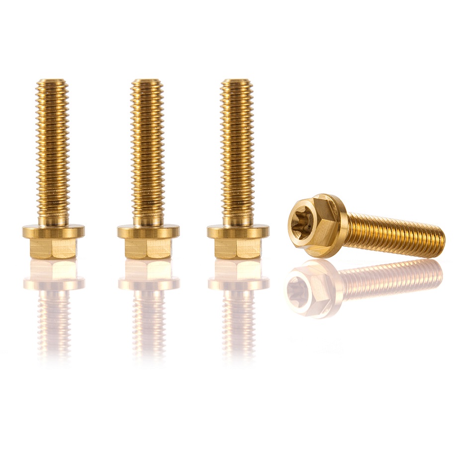 25mm Titanium Motorcycle Brake Disc Bolts