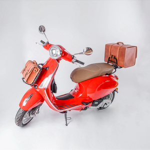 Vespa GTS Front Rack