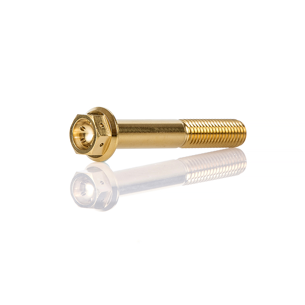 Titanium Bolts Disc Brake Rotor Bolts For BWM Front Brake