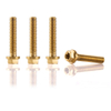 M6x30mm Titanium Motorcycle Bolts