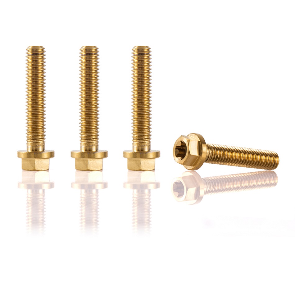 M6x30mm Titanium Motorcycle Bolts