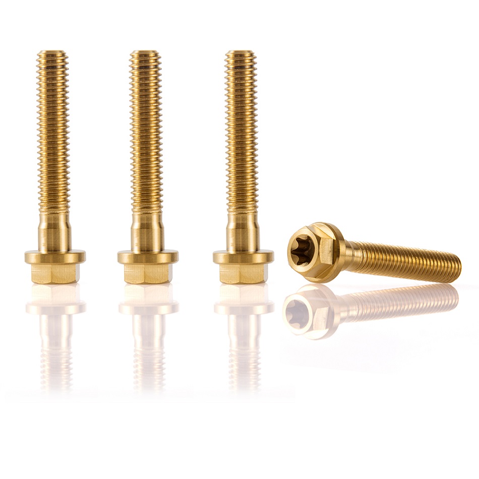 M6x35mm Titanium Bolts Disc Brake Rotor Bolts